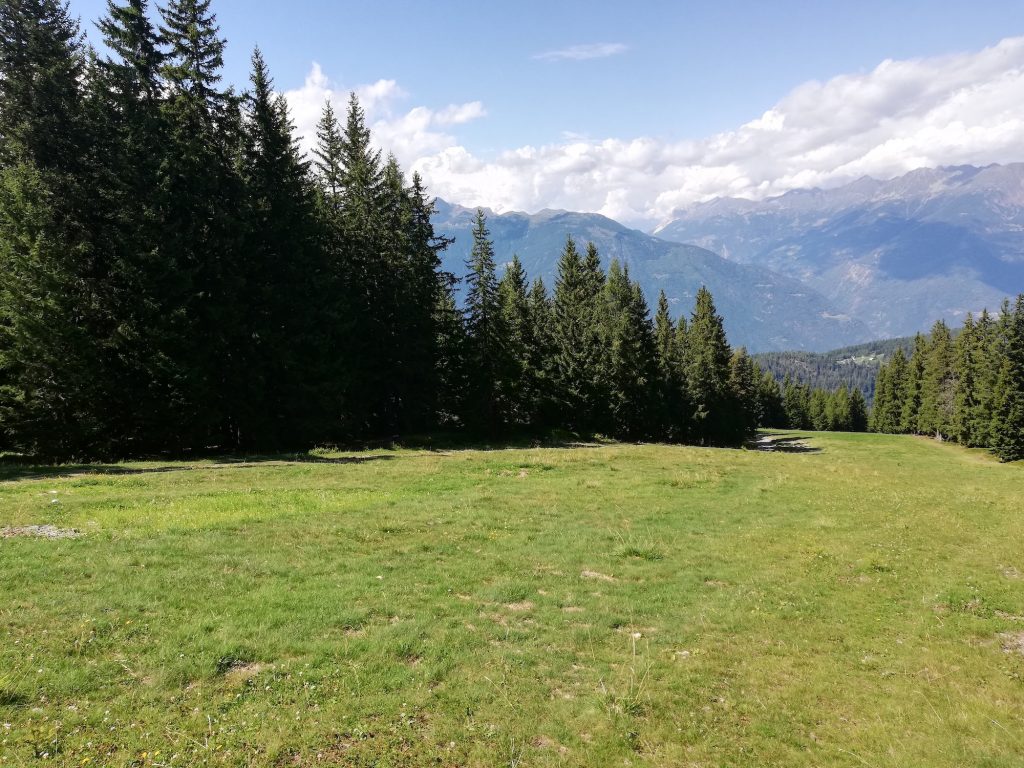 Montagne, ruscelli e prati verdi: questa è la Valtellina!