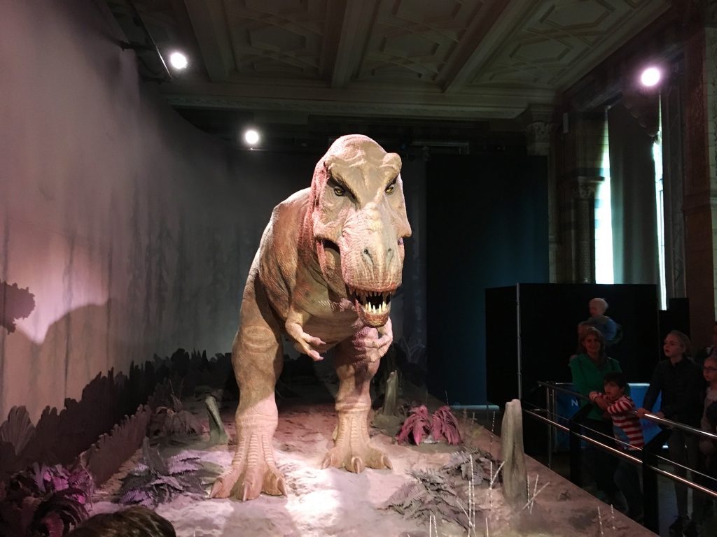 Un T.rex ci dà il benvenuto al Natural History Museum of London!
